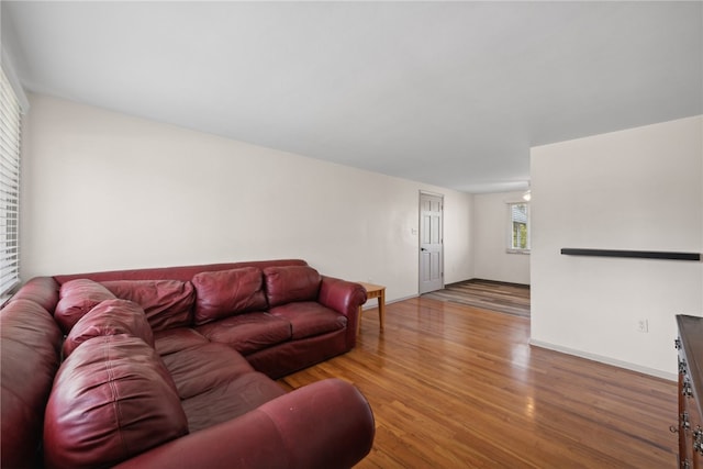 living room featuring hardwood / wood-style floors