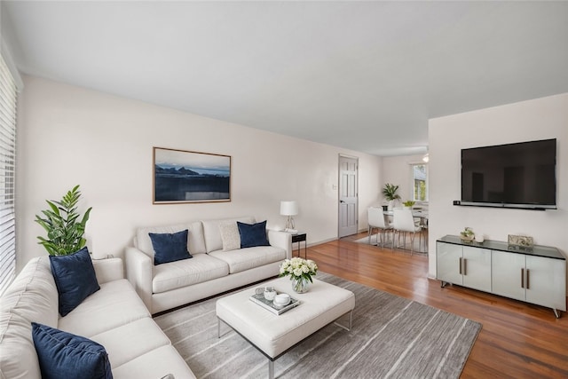 living room featuring wood-type flooring