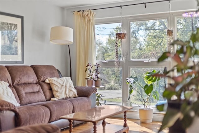 living room with hardwood / wood-style flooring