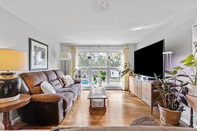 living room featuring light hardwood / wood-style flooring