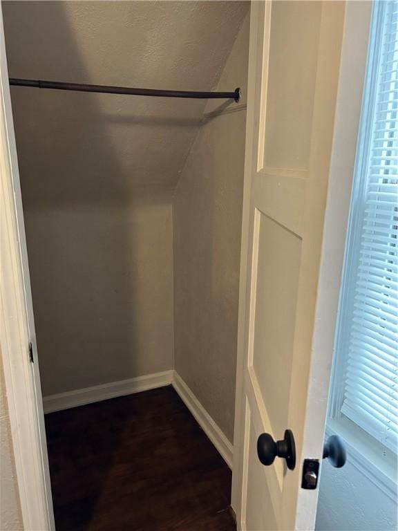 spacious closet featuring dark hardwood / wood-style flooring