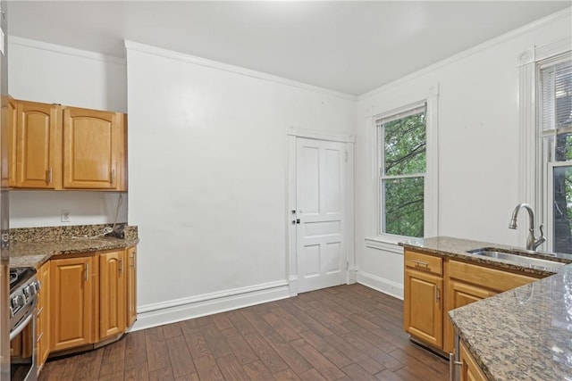5972 Alder St, Shadyside, PA 15232 - kitchen featuring a sink, stainless steel range with gas stovetop, dark wood-style flooring, ornamental molding, and dark stone counters
