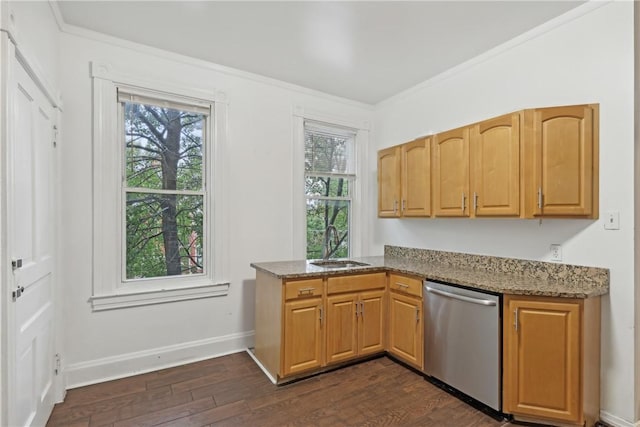 5972 Alder St, Shadyside, PA 15232 - kitchen featuring stainless steel dishwasher, a sink, crown molding, plenty of natural light, and dark wood-type flooring