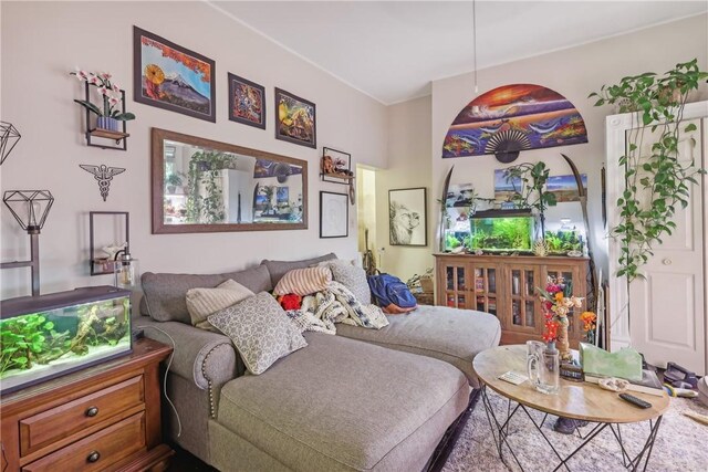 5972 Alder St, Shadyside, PA 15232 - view of living area
