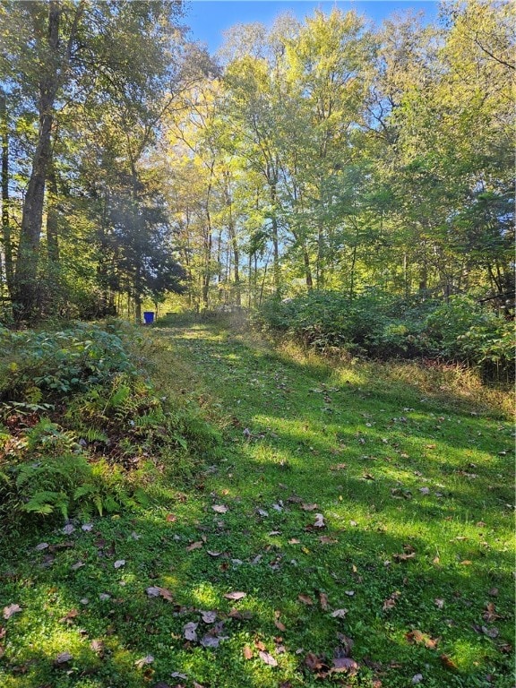 view of landscape