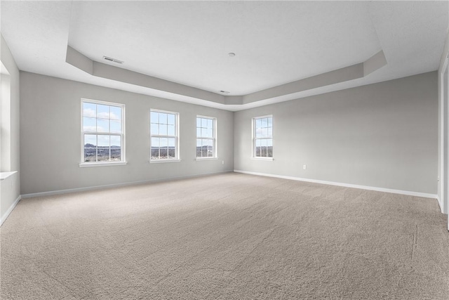 spare room with a tray ceiling, light colored carpet, and a healthy amount of sunlight