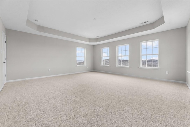 carpeted empty room with a raised ceiling and plenty of natural light