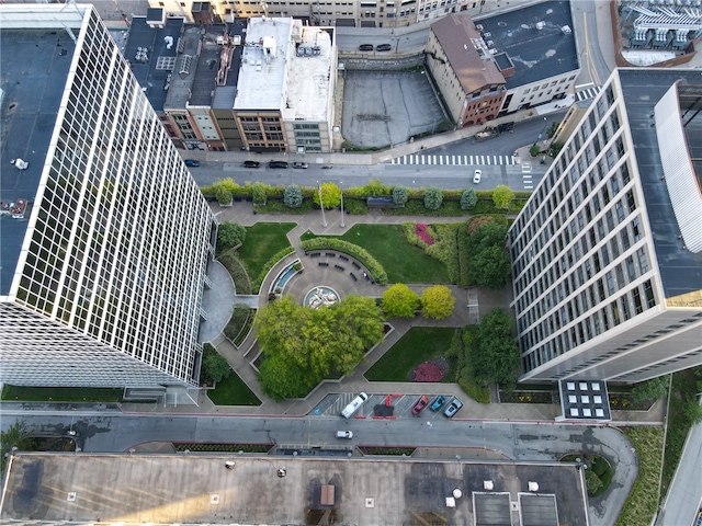 bird's eye view