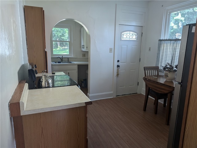 entryway featuring dark hardwood / wood-style floors and sink