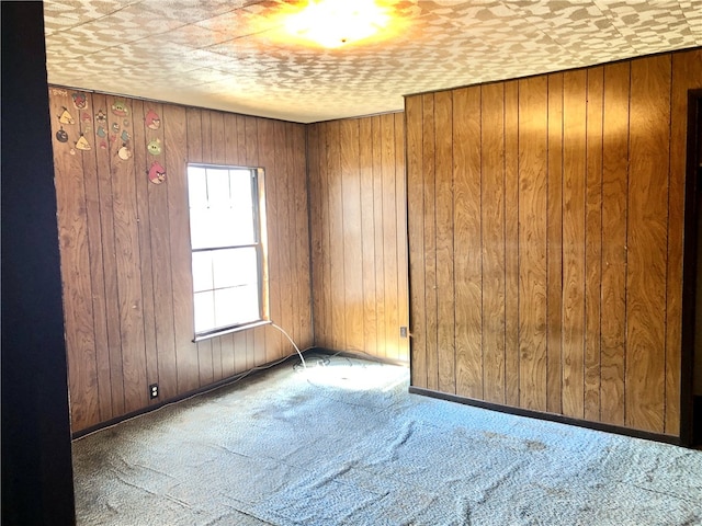 spare room with wood walls and carpet floors