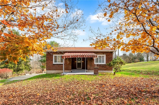 rear view of property with a yard