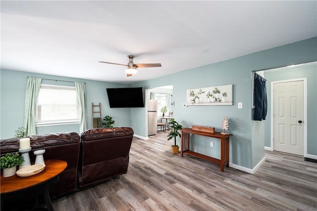 living room with light wood-type flooring and ceiling fan