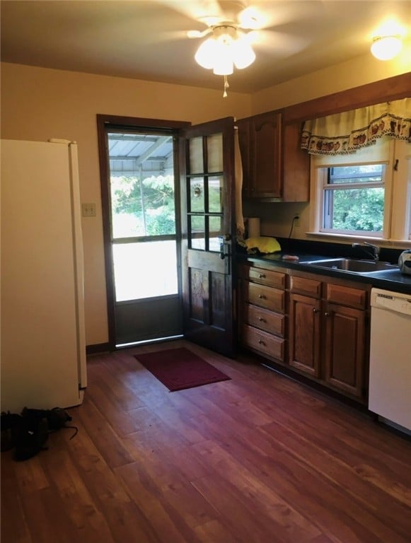 kitchen with dark hardwood / wood-style floors, ceiling fan, white appliances, and sink