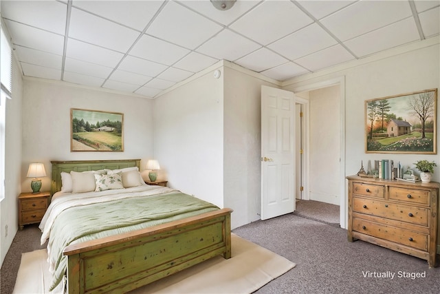 bedroom featuring carpet floors and a drop ceiling