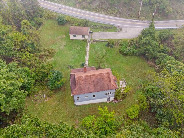 bird's eye view