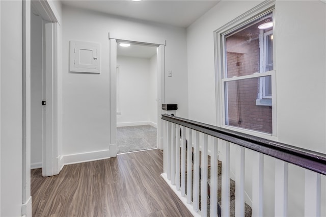 corridor featuring hardwood / wood-style flooring