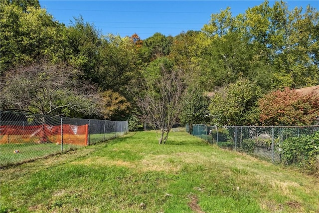 21 Ambridge Ave, Leet Twp, PA 15003 - view of yard