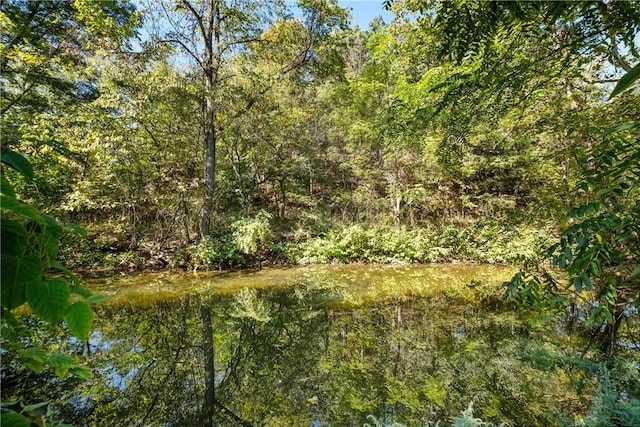 view of nature