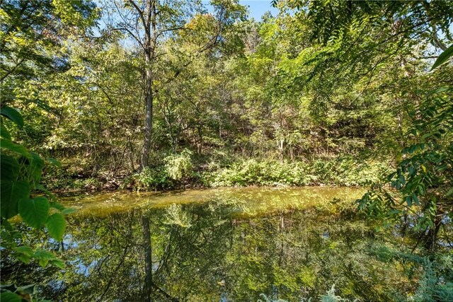 21 Ambridge Ave, Leet Twp, PA 15003 - view of tree filled area