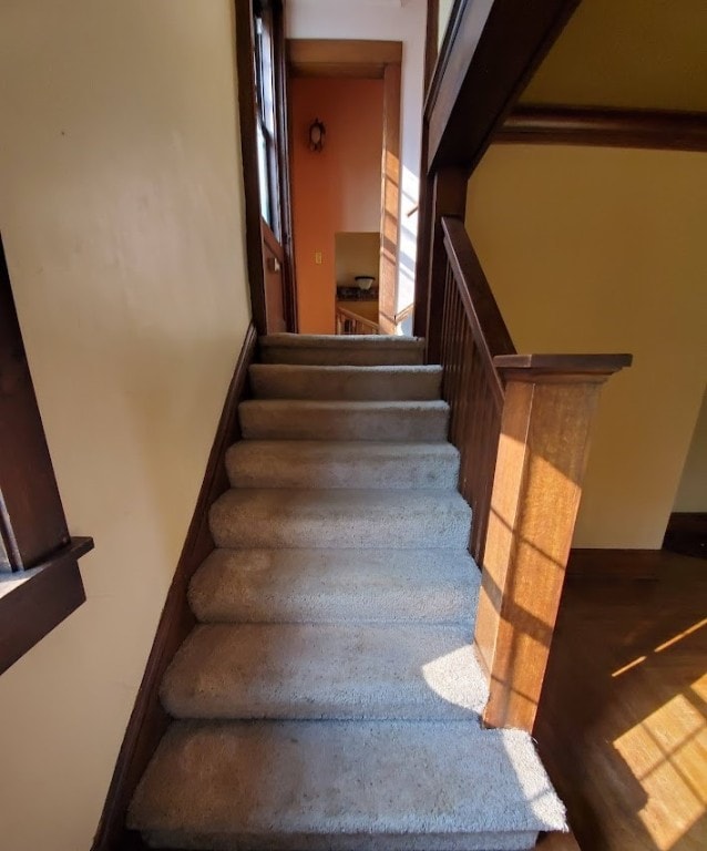 stairway with hardwood / wood-style flooring