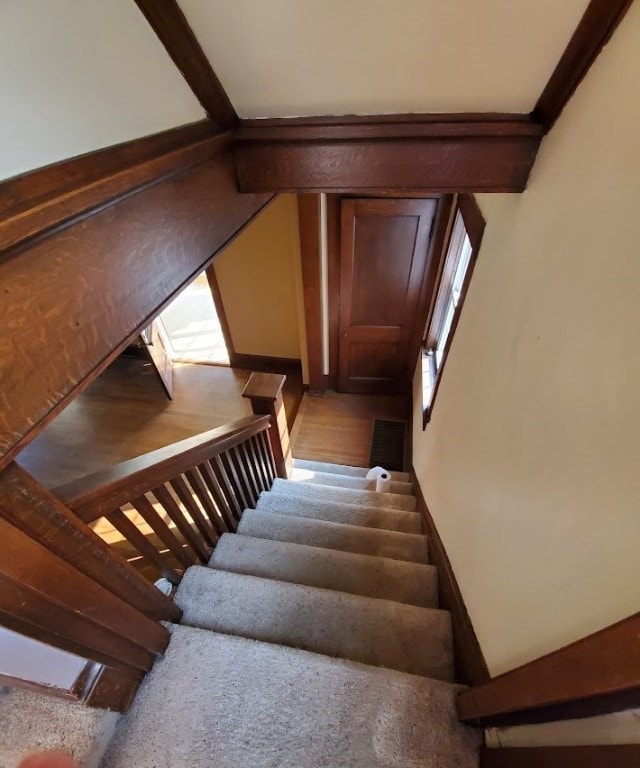 stairs with a wealth of natural light