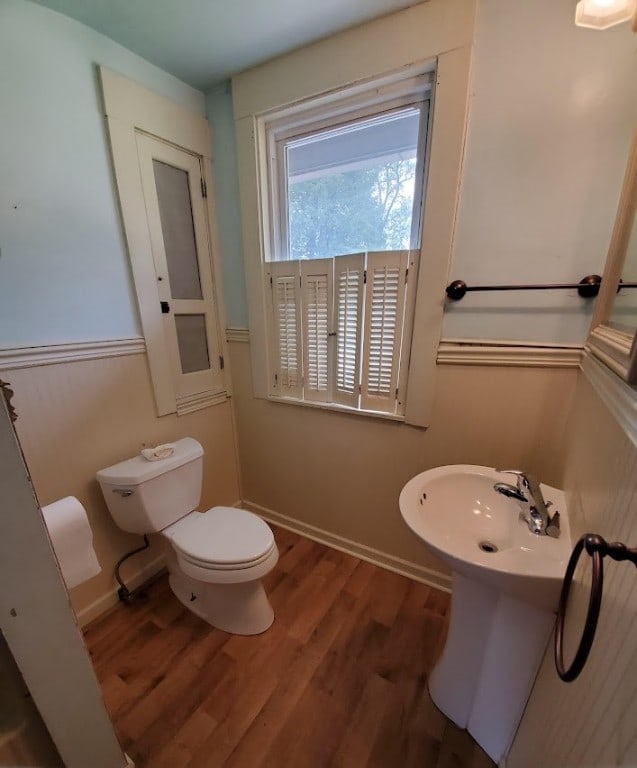 bathroom with wood-type flooring and toilet