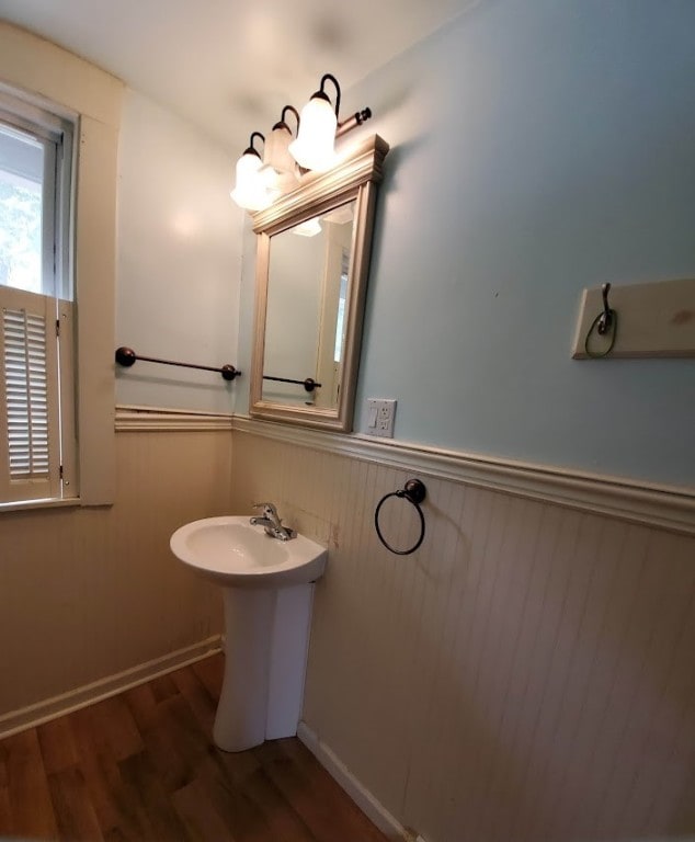 bathroom featuring wood-type flooring and sink