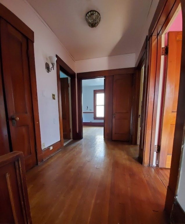 hall featuring light hardwood / wood-style floors