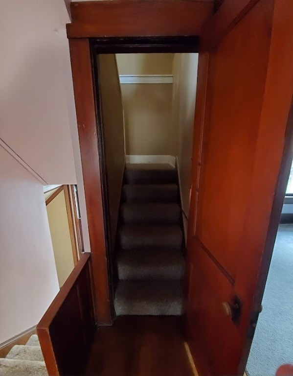 stairs featuring carpet flooring