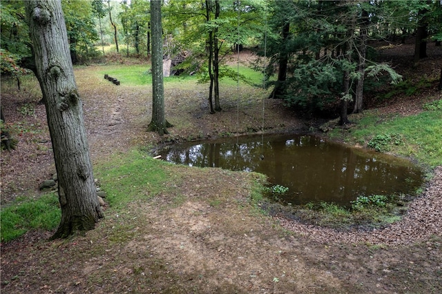 view of local wilderness featuring a water view