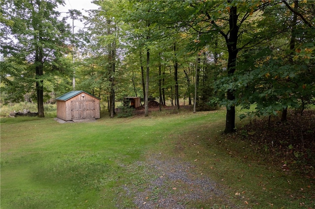 view of yard featuring a storage unit