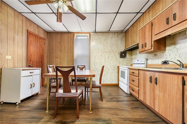 kitchen with electric range, dark wood-type flooring, ventilation hood, wood walls, and ceiling fan