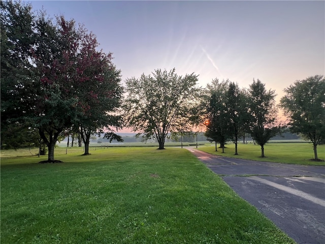 view of community featuring a lawn