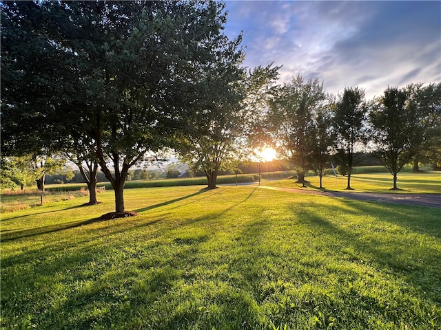 surrounding community featuring a lawn