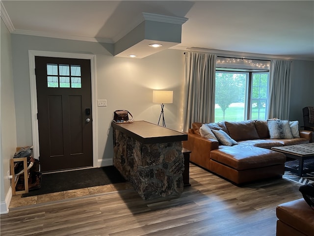 entryway featuring crown molding and dark hardwood / wood-style floors