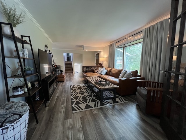 living room featuring crown molding and dark hardwood / wood-style floors