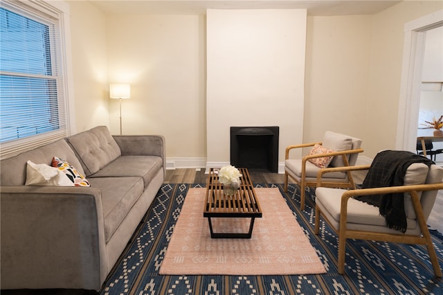 living room featuring hardwood / wood-style floors