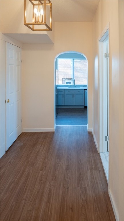 interior space with sink, a chandelier, and dark hardwood / wood-style flooring