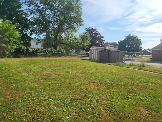 view of yard featuring a storage unit