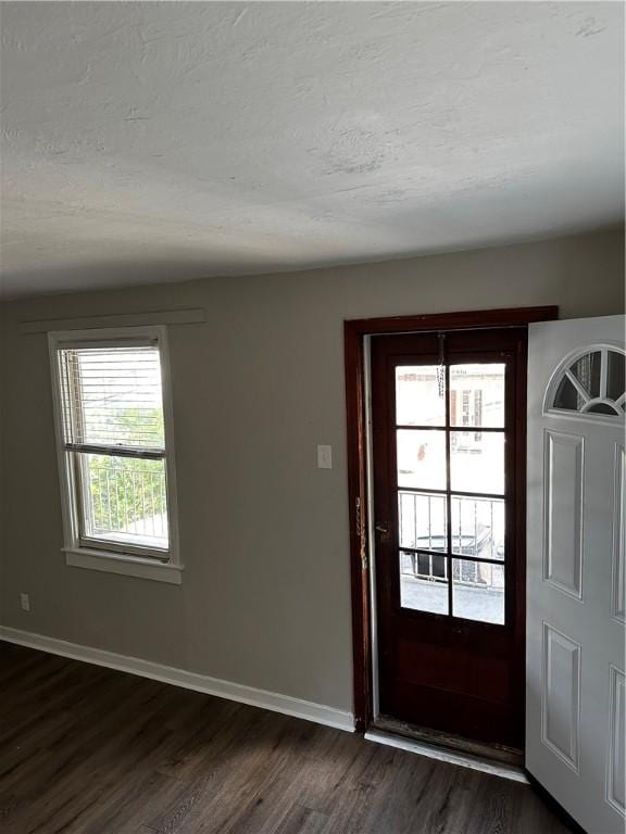 foyer entrance featuring dark hardwood / wood-style flooring