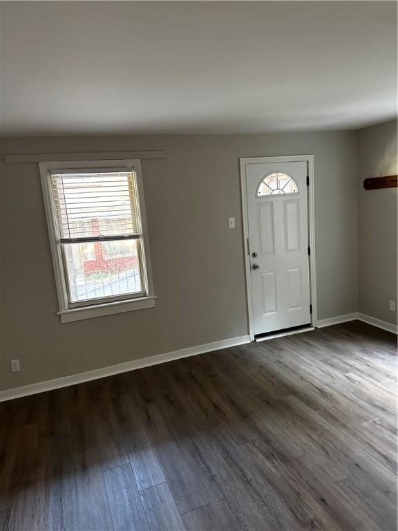 entryway featuring dark hardwood / wood-style flooring and plenty of natural light