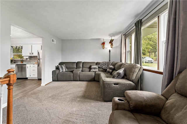 living room with a textured ceiling and hardwood / wood-style flooring