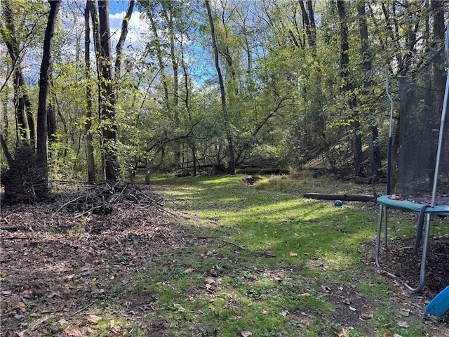 view of yard with a trampoline