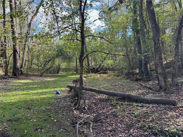 view of local wilderness