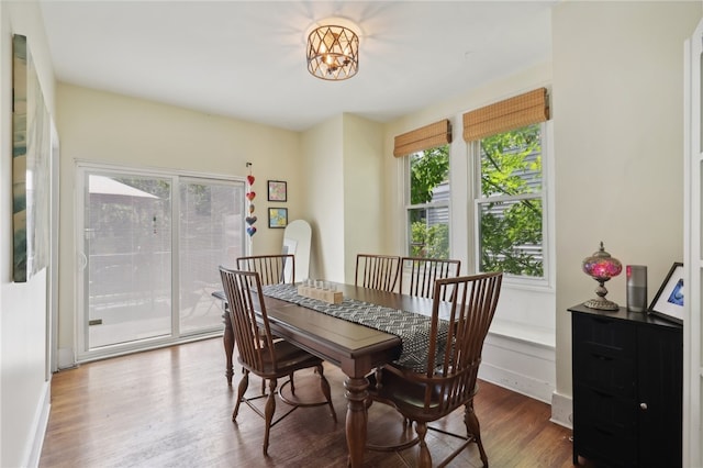 dining room with hardwood / wood-style floors and a wealth of natural light