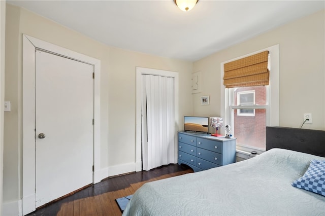 bedroom featuring dark wood-type flooring and a closet