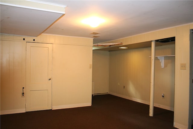 basement with wooden walls