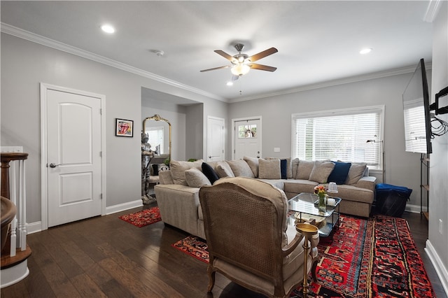 living room featuring dark hardwood / wood-style floors, ceiling fan, and crown molding