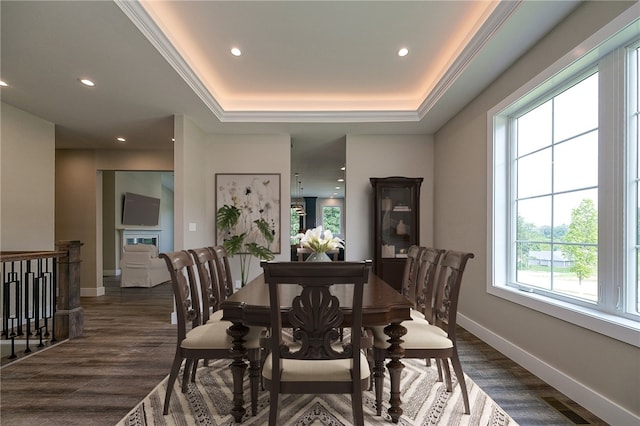 dining room with a raised ceiling, crown molding, dark hardwood / wood-style floors, and plenty of natural light