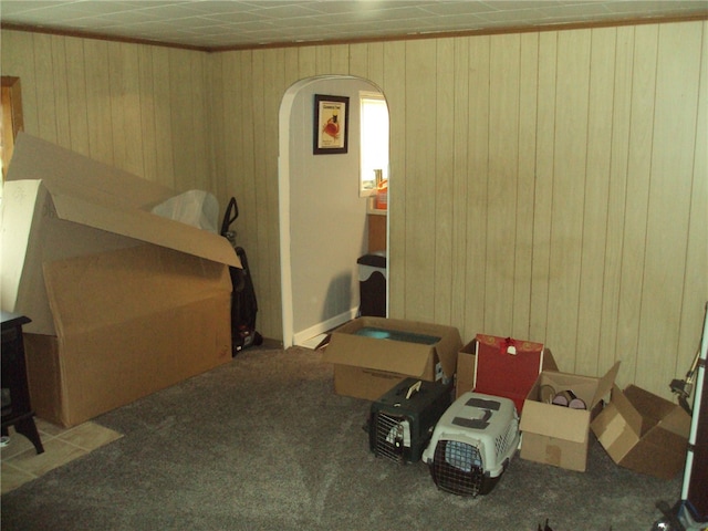 carpeted bedroom with wood walls